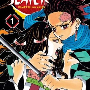 Demon Slayer: Kimetsu no Yaiba Vol. 1 (Paperback)